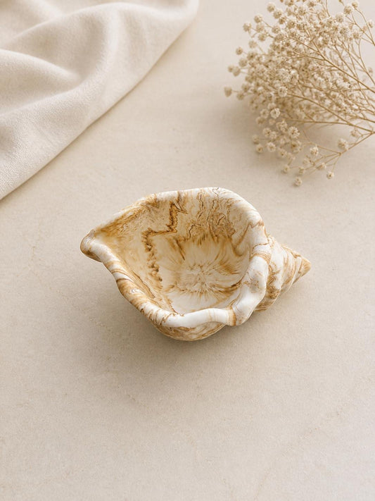 Handmade Jesmonite Shell Trinket Dish | Coastal Ring Holder, Marbled Tray