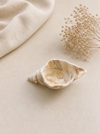 Handmade Jesmonite Shell Trinket Dish | Coastal Ring Holder, Marbled Tray